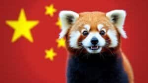 How Do Red Panda Population Trends Vary Across China