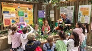 What Role Do Red Pandas Play in Conservation Education Programs for Children